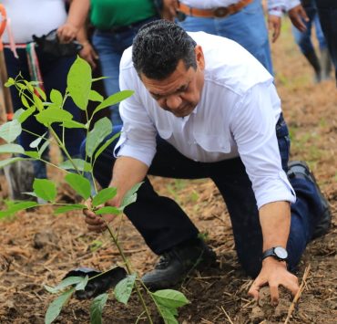 Tabasco inicia Jornada de Reforestación 2026