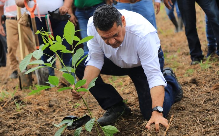 Tabasco inicia Jornada de Reforestación 2026