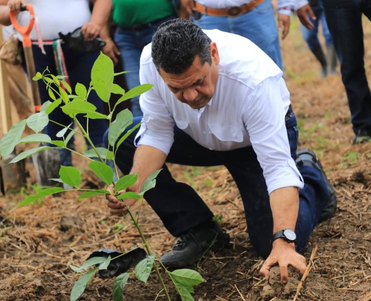 Tabasco inicia Jornada de Reforestación 2026