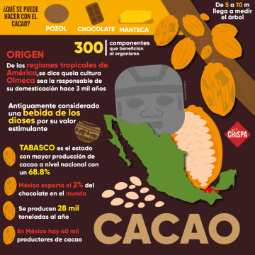 infografía cacao tabasco infografía cacao tabasco